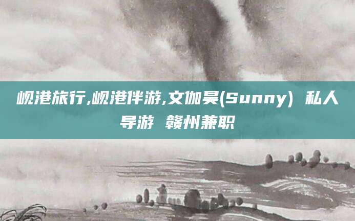 陵水岘港旅行,岘港伴游,文伽昊(Sunny) 私人导游 赣州兼职