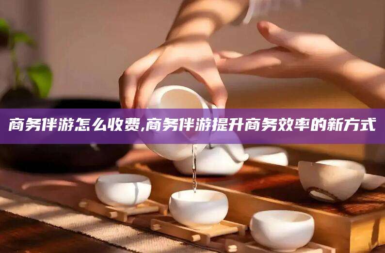 陵水商务伴游怎么收费,商务伴游提升商务效率的新方式